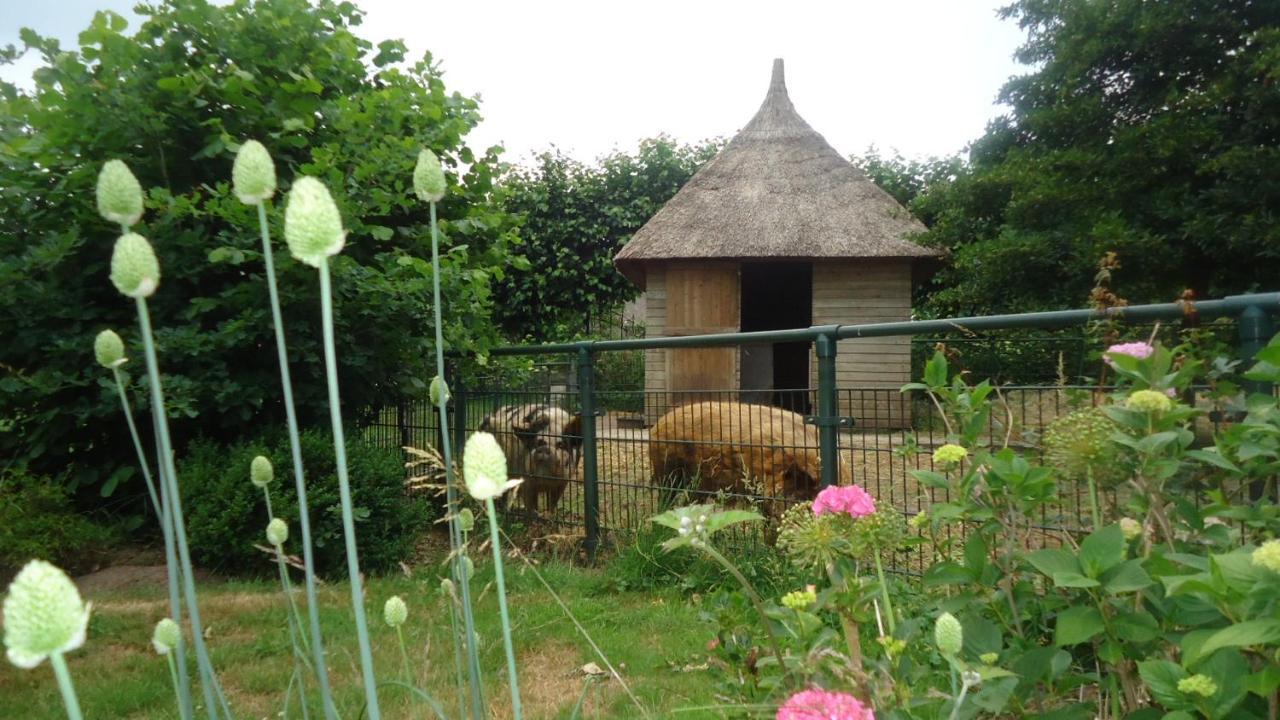 ズヴォレ Klein Vreugderijk Bed & Breakfast エクステリア 写真